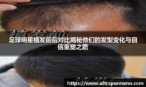 BB贝博登录入口